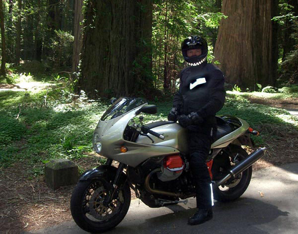 guzzi-redwoods01.jpg